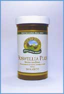 Boswellia Plusi__1264299496_1980