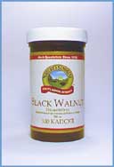 Black Walnuti__428906880_1980